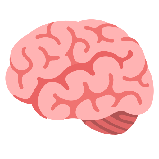 brain